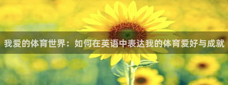 风速体育app