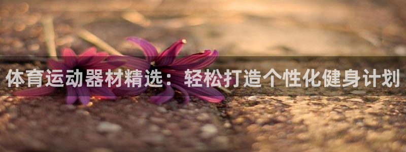 风速体育