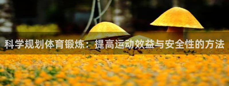 下载风速体育：科学规划体育锻炼：提高运动效益与安全性的方法