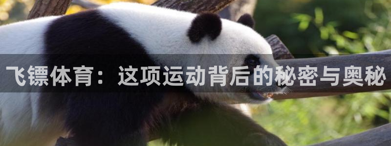 下载风速体育：飞镖体育：这项运动背后的秘密与奥秘