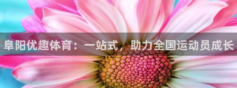 风速体育app下载安装最新版本：阜阳优趣体育：一站式，助力全国运动员成长