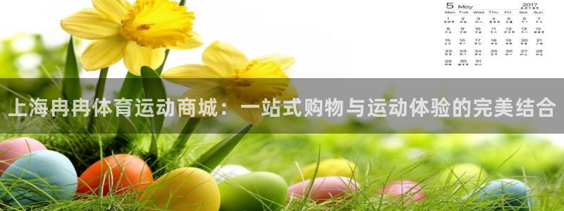 风速体育app