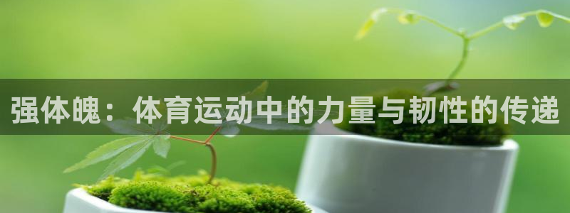 风速体育app官方下载：强体魄：体育运动中的力量与韧性的传递