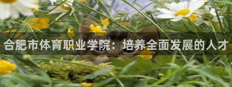风速体育nba直播：合肥市体育职业学院：培养全面发展的人才