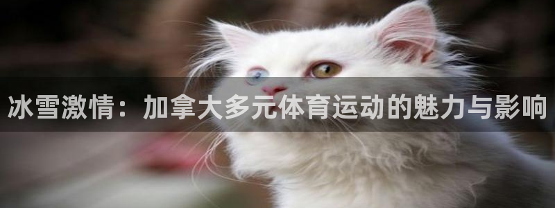 风速体育