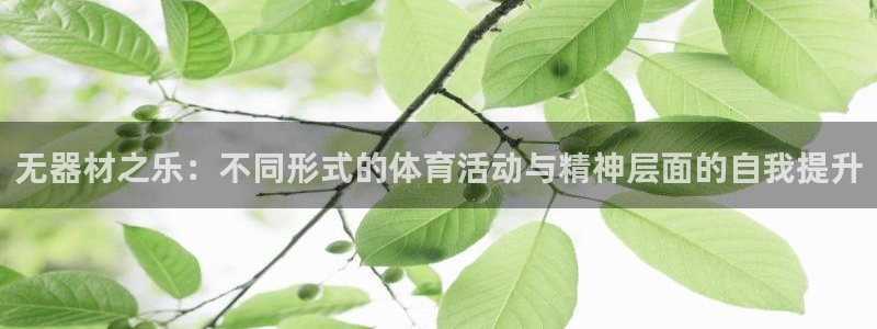 风速体育app下载官网最新版