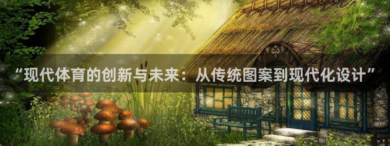 风速体育官网：“现代体育的创新与未来：从传统图案到现代化设计”