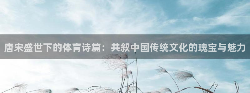 风速体育nba免费直播：唐宋盛世下的体育诗篇：共叙中国传统文化的瑰宝与魅力