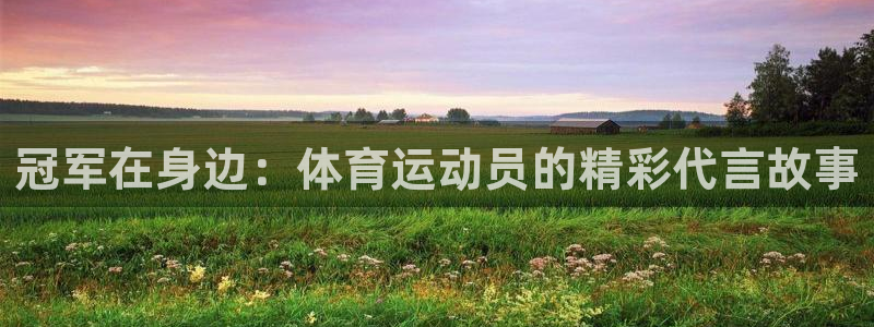 风速体育