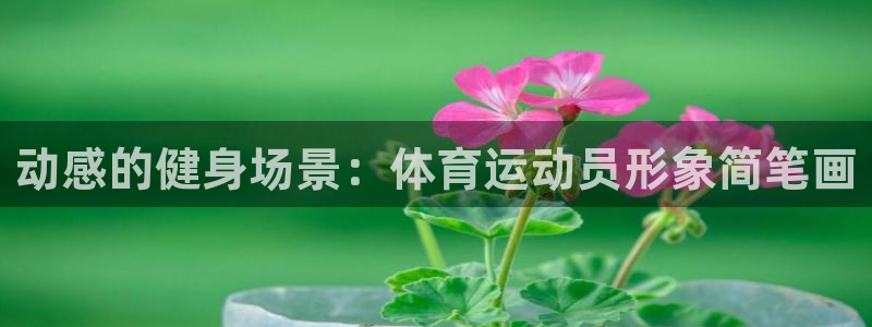 风速体育app下载安装最新版本