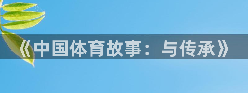 风速体育直播app
