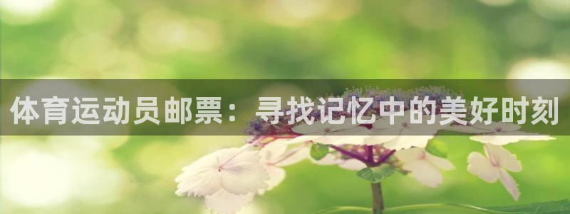 风速体育：体育运动员邮票：寻找记忆中的美好时刻