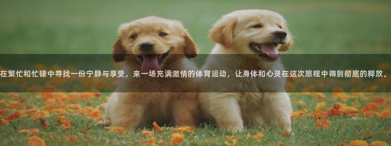 风速体育app下载安装最新版本：在繁忙和忙碌中寻找一份宁静与享受，来一场充满激情的体育运动，让身体和心灵在这次旅程中得到彻底的释放。