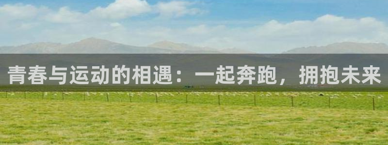 风速体育直播app：青春与运动的相遇：一起奔跑，拥抱未来